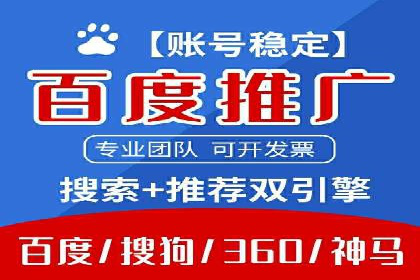 谷歌SEM案例研究：数据分析与效果评估